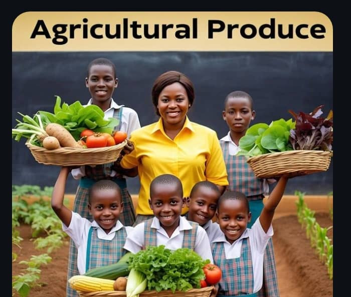 From Farm to Plate: Teaching Kids About Agricultural Produce in Primary 1