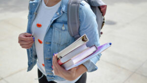 The School Supervisor as an Internal Consultant: Driving School Excellence